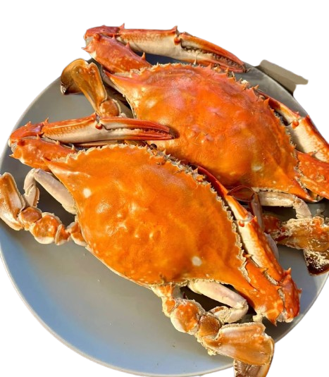 Superior Jumbo Swimming Crab: Bursting with Rich, Creamy Roe and Tomalley